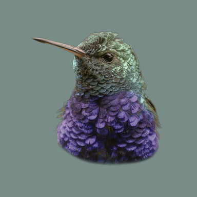Julie AI Assistant bird icon